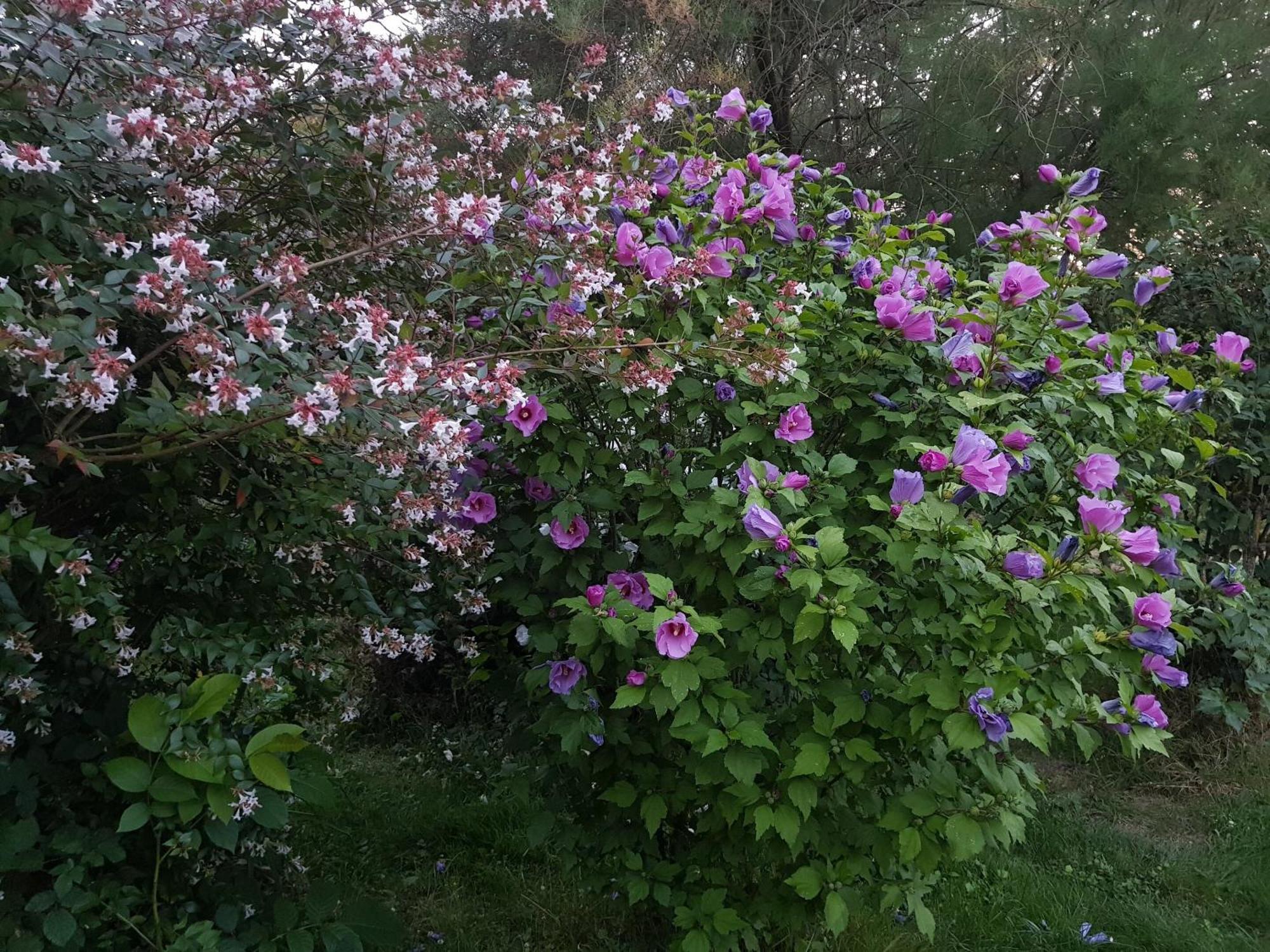 La Berceenne Jupilles Εξωτερικό φωτογραφία